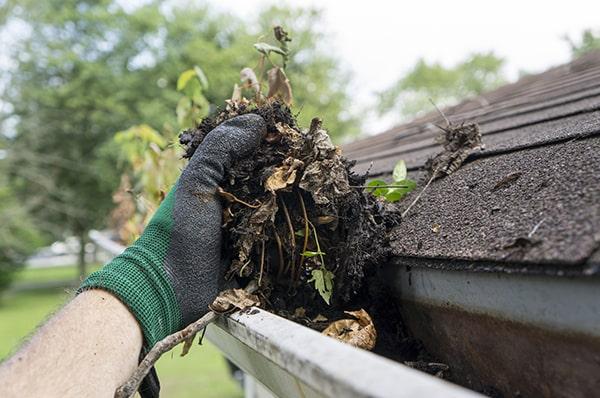 gutter cleaning typically requires ladders, gloves, and a scoop or brush for debris removal